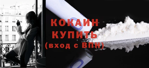 spice Бородино