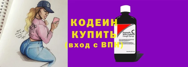 spice Бородино