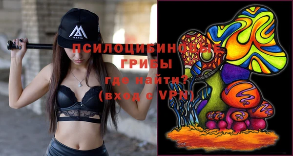 spice Бородино