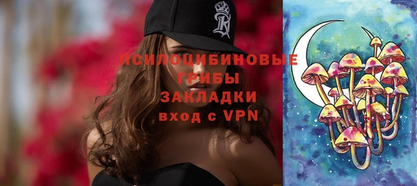 spice Бородино