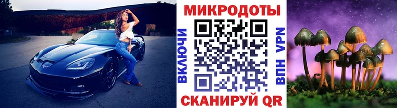 Галлюциногенные грибы Magic Shrooms  мега ONION  Минусинск  купить  