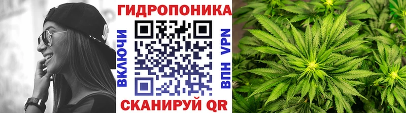 darknet официальный сайт  Минусинск  Канабис индика  где найти  